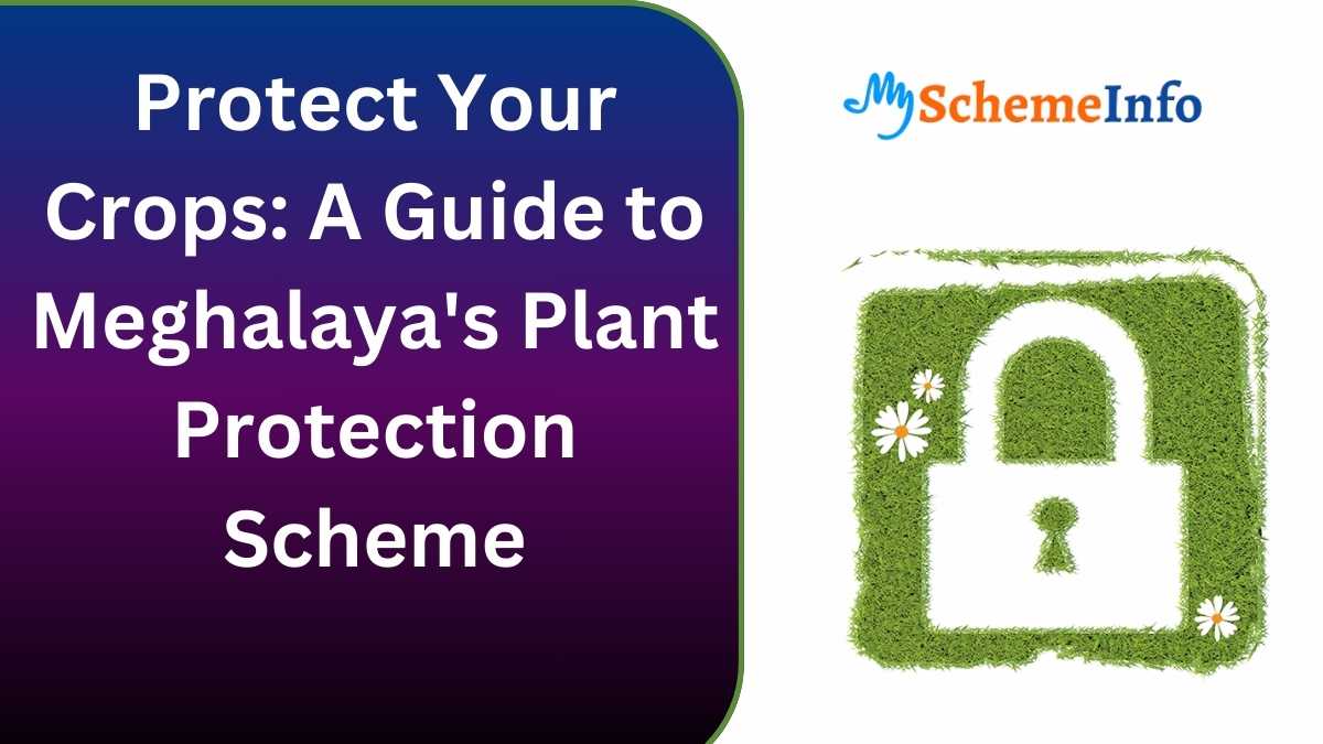 Protect Your Crops: A Guide to Meghalaya’s Plant Protection Scheme Plant Protection Scheme